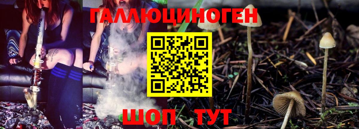 Псилоцибиновые грибы Magic Shrooms Балтийск