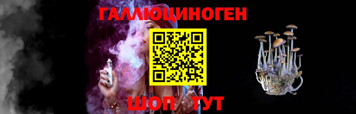 Псилоцибиновые грибы Psilocybine cubensis  Вход с VPN  Балтийск 