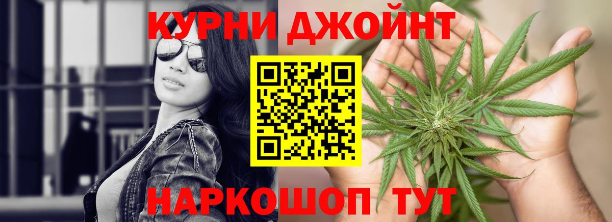 Бошки марихуана сатива  Канабис сатива  Вход с VPN  Бошки Шишки White Widow  Балтийск  Марихуана планчик 